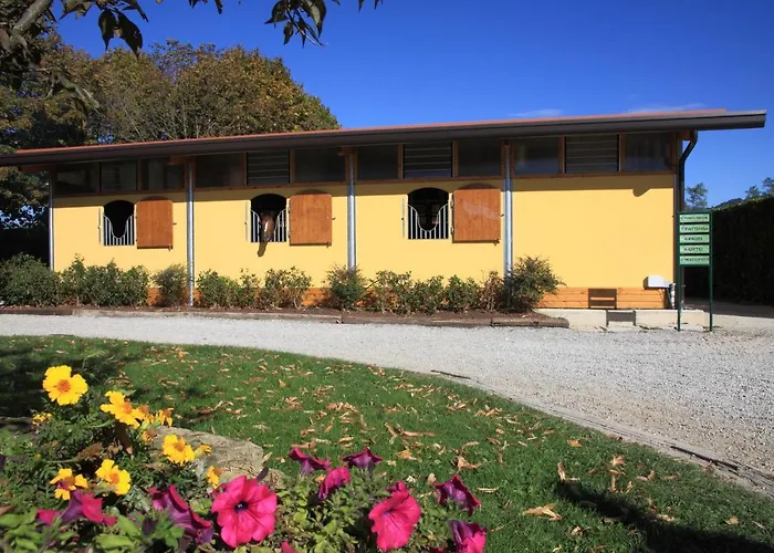 Agriturismo Monsereno Horses